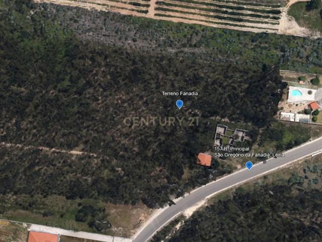 Terreno Rústico de 33.550 m2 em Caldas da Rainha com vista campestre