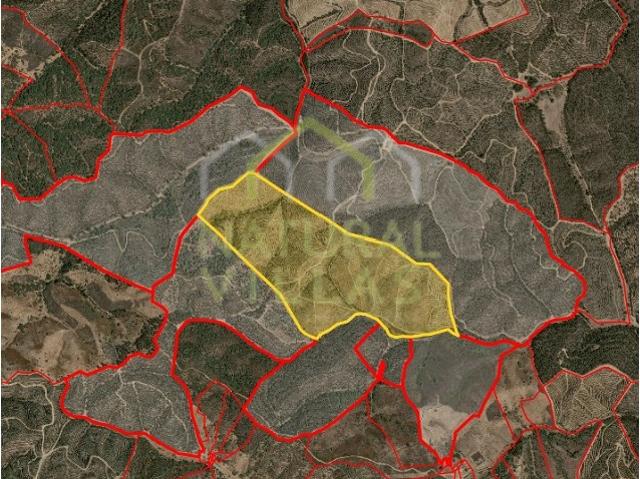 Terreno Rústico de 36,6ha em S. Martinho das Amoreiras, Odemira