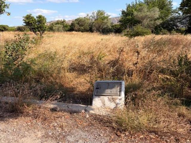 Terreno rústico de 4.300 m2 en un entorno privilegiado de la huerta de Murcia