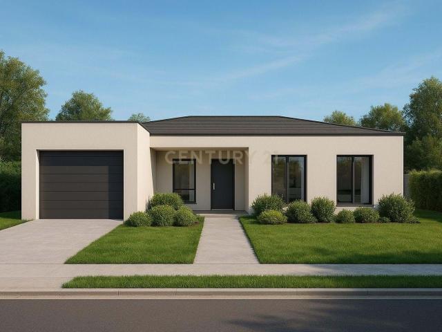 Terreno Rustico de 5000m2 em Paredes Do Bairro, Anadia