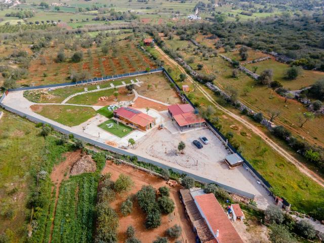 Terreno Rustico de 5600m2 transformado em quinta Paderne