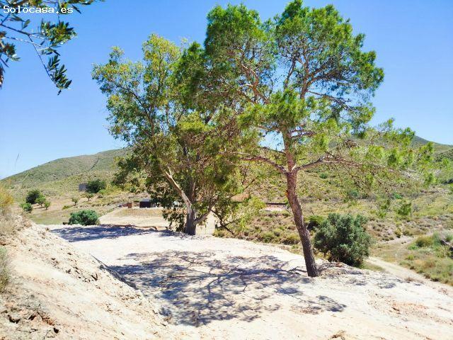 Terreno rústico de 6.500 m2 en La Atalaya Mazarrón – Gran sombra natural y vistas