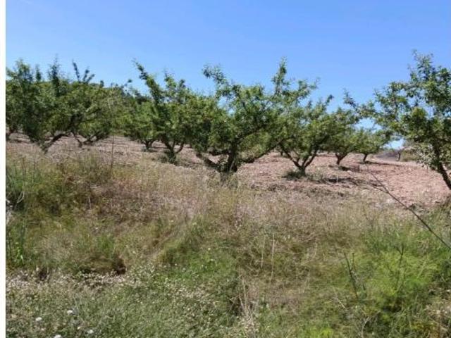 “Terreno rústico de 6.681 m2 en Cehegín – Paraje El Chaparral”