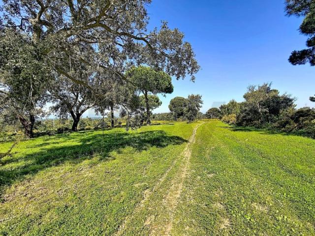 Terreno rústico de 80.000m2 com viabilidade de construção, em Sesimbra