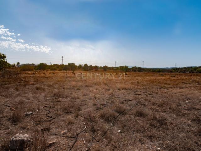Terreno rustico de 8 040 m2 em Tunes