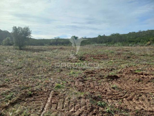 Terreno Rústico de cerca de 28ha para arrendamento