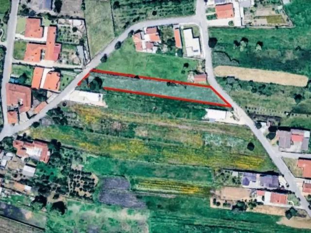 Terreno Rústico de Excelência no Troviscal – 1.836,52 m²