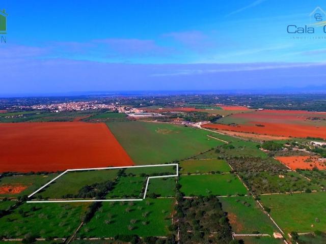 Terreno rústico de más de 18.500 m2 cerca de Ses Salines