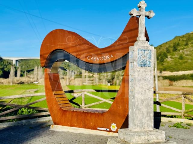 Terreno Rústico de quase 1 hectare em Carvoeira, Mafra!