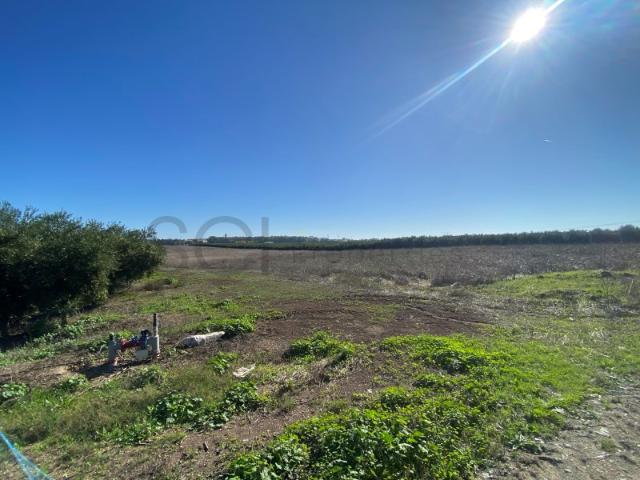 Terreno Rustico de terra limpa, nas imediações da cidade de Beja