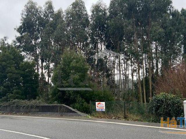 Terreno Rústico em Canedo com 1300m2. | 26074063241