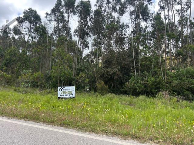 Terreno rustico em Charneca, Silveira