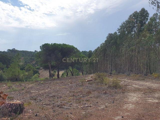 Terreno Rústico em Aiana de Cima Sesimbra
