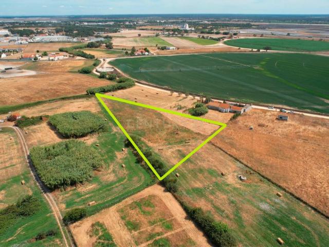 Terreno Rústico em Alcochete com 5000 m2 – Natureza, com Potencial