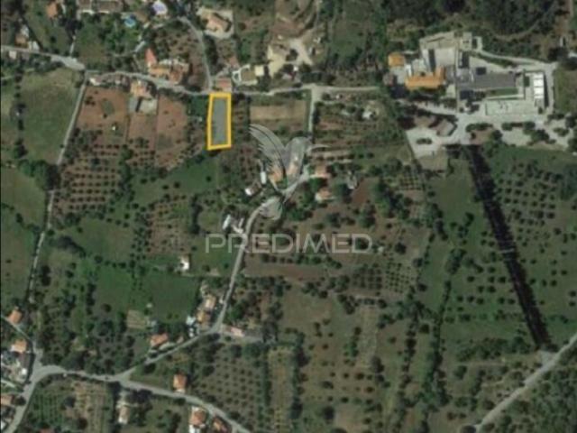 Terreno Rustico em Almargens