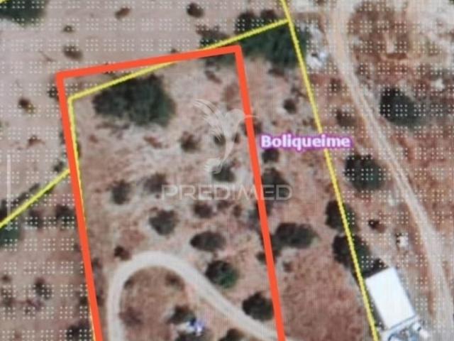 Terreno Rústico em Boliqueime Fonte Conde – 2.310 m² com Eletricidade