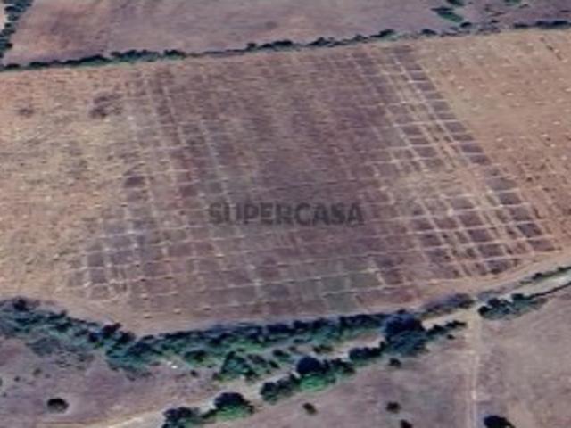 Terreno rustico em Bagueixe Macedo de Cavaleiros