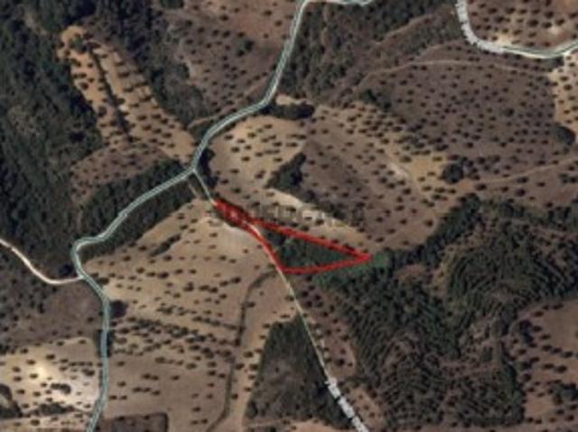 Terreno Rústico em Barbada Pernes