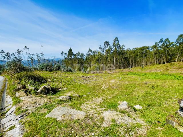 Terreno Rústico em Gondoriz – Oportunidade Imperdível!