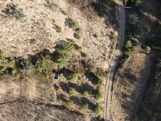 Terreno Rústico em Foz do Ribeiro c/ 6.640m2 e tanque de água