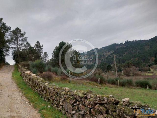 Terreno Rústico em Oura Chaves | 26084058656