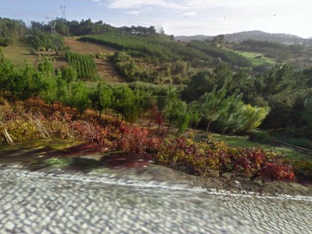 Terreno Rústico em Leiria, para construção confronta com estrada pública