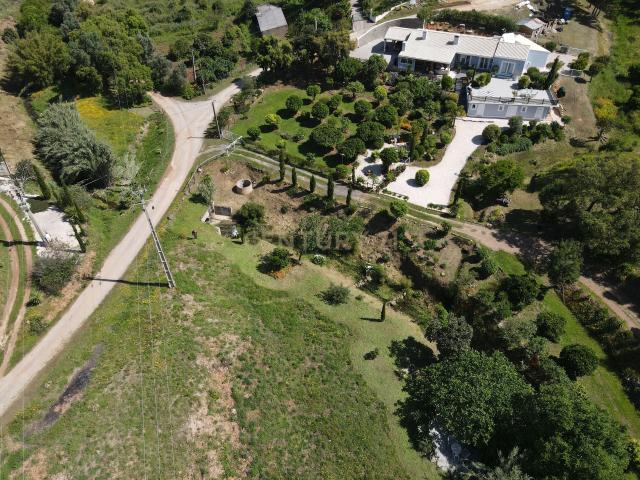 Terreno Rústico em Monchique com Vista para a Montanha