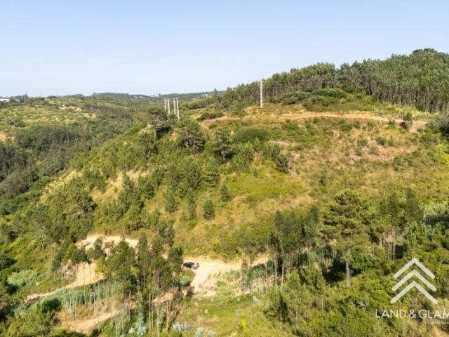 Terreno Rústico em Mafra