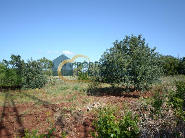 Terreno rústico em São Bartolomeu de Messines