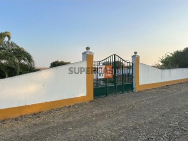 Terreno Rústico em Santana de Cambas, Mértola