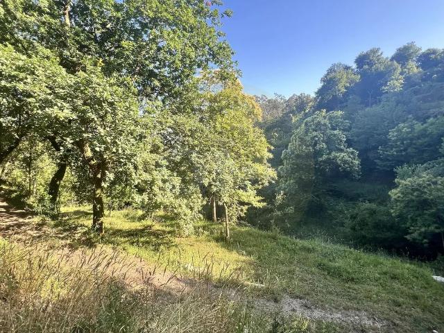Terreno Rustico em Seramil