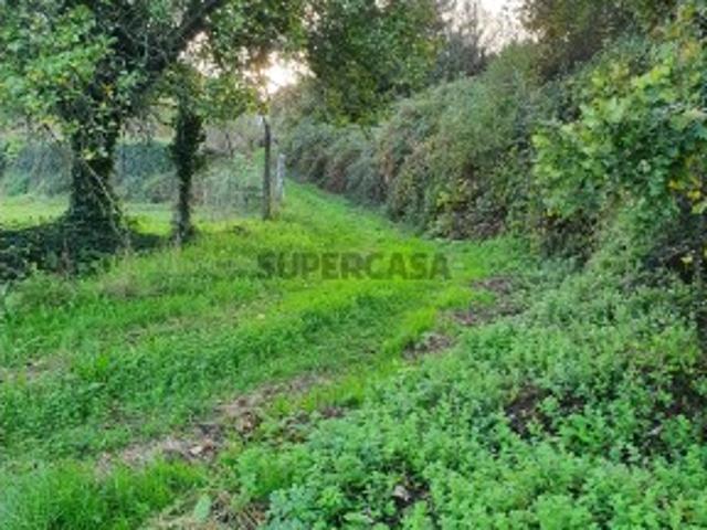 terreno rustico em silva valença