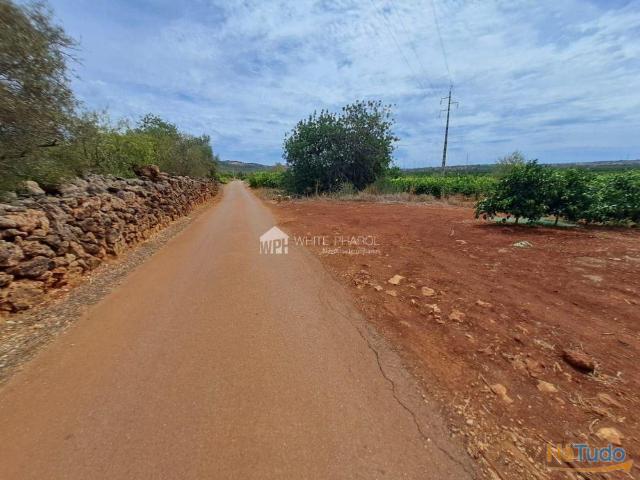 Terreno rústico em Silves para venda. | 26083638890