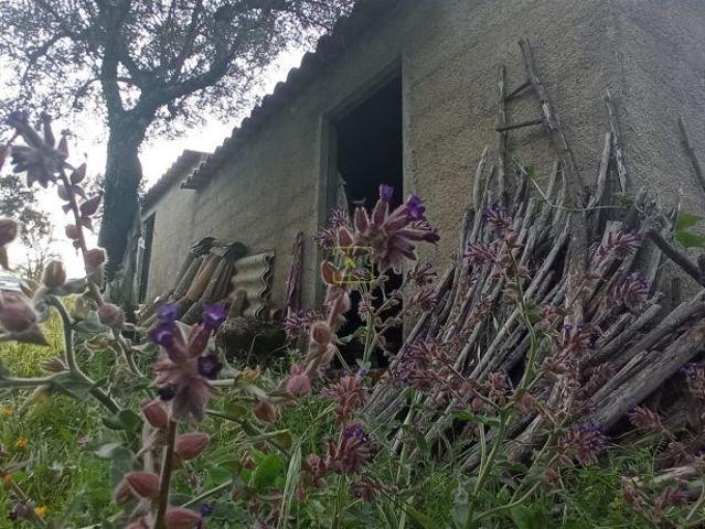 Terreno rústico em Pedrógão de S. Pedro | 26064082316