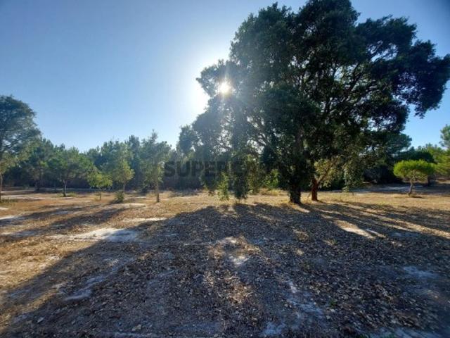 Terreno Rústico em Perímetro Urbano 1.3 ha, Lagoa de Santo André, Santiago do Cacem