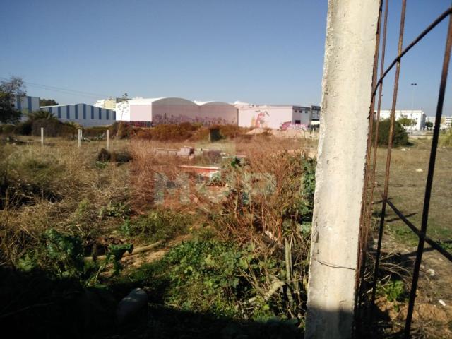 Terreno Rústico em Quelfes
