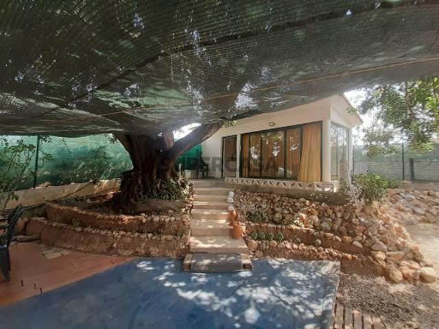Terreno rústico em Quelfes