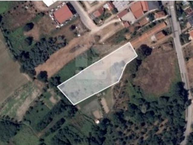 Terreno Rústico em Tondela