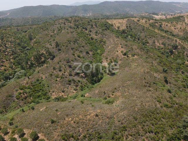 Terreno Rústico em Vale Bezerra, São Marcos da Serra c/ 6.2 hectares
