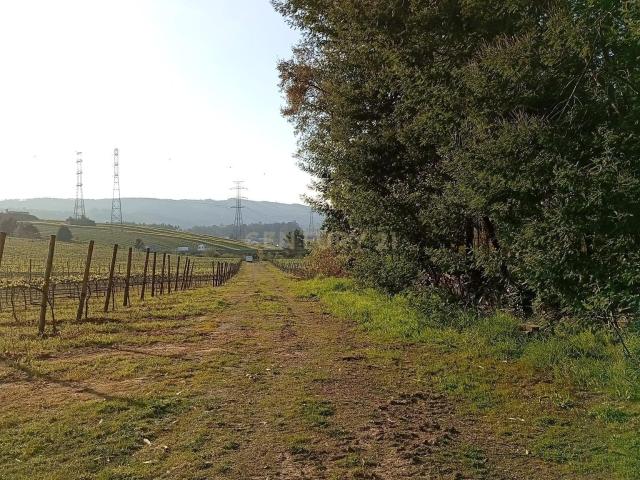 Terreno Rústico em Valongo com Vista Campestre