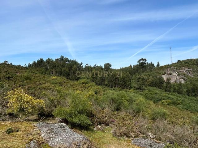 Terreno rústico em Vizela| 5 HA