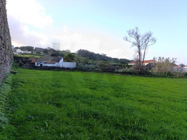 Terreno Rústico em Zona Tranquila – Excelente Oportunidade!