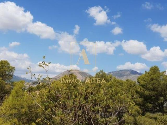 Terreno Rústico en Callosa D'En Sarrià