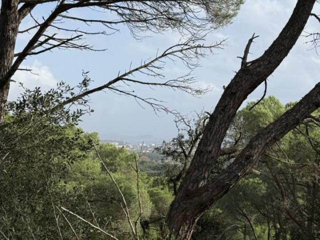 ✨ Terreno rústico en Castell d’Aro – Platja d’Aro / S’Agaró ✨