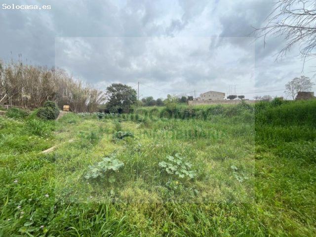 Terreno rustico en Cruilles