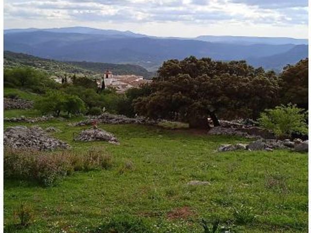 ? TERRENO RÚSTICO EN BENAOCAZ ?