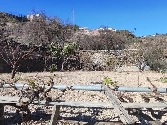 Terreno rústico en Granadilla con acceso rodado