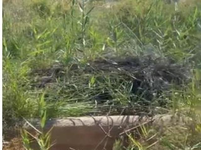 Terreno rustico en Daimés