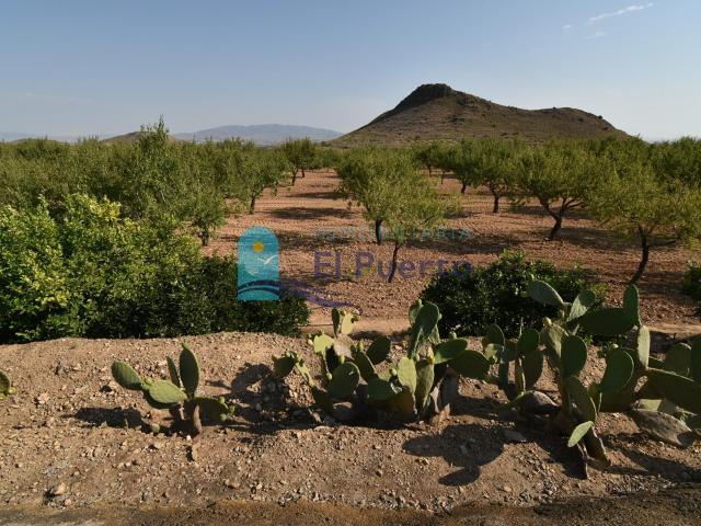 TERRENO RÚSTICO EN EL MARGAJÓN, MAZARRÓN – REF 297