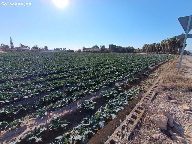 Terreno Rústico en Elche Oportunidad Única